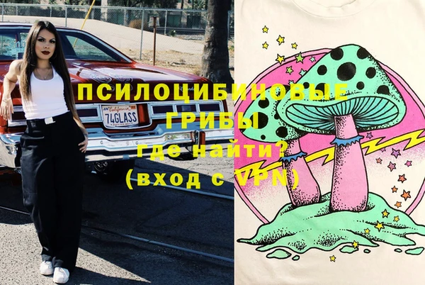 сатива Касимов