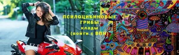 сатива Касимов