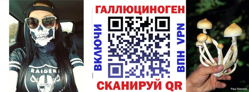 Купить где  Златоуст  Псилоцибиновые грибы Magic Shrooms 